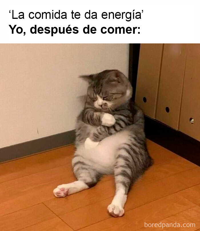 30 Hilarious Memes To Look At Instead Of Working, As Shared On These Instagram Pages