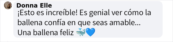 Este video capta el incre&iacute;ble momento en que una ballena se acerca a un barco con una inusual petici&oacute;n