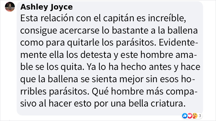 Este video capta el incre&iacute;ble momento en que una ballena se acerca a un barco con una inusual petici&oacute;n