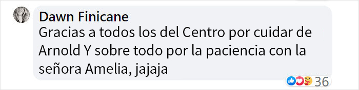 Este ganso llamó a la puerta del centro veterinario donde estaban operando a su pareja, exigiendo verla