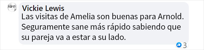 Este ganso llamó a la puerta del centro veterinario donde estaban operando a su pareja, exigiendo verla