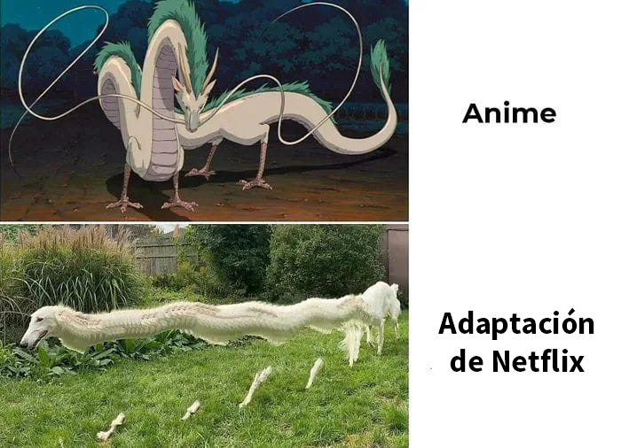 30 Funny Memes To Send To Your Studio Ghibli-Obsessed Friends