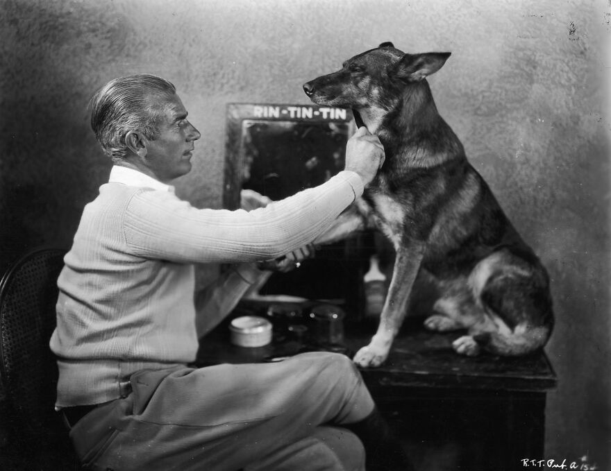Perritos Históricos Perritos Históricos