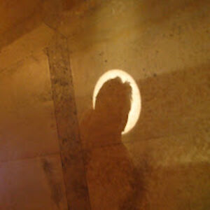 albertoarroyocasaseca avatar