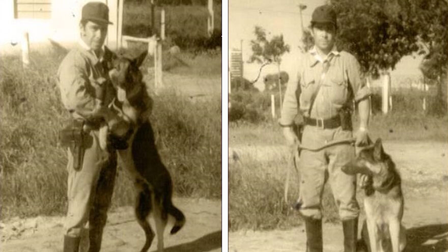 Perritos Históricos Perritos Históricos