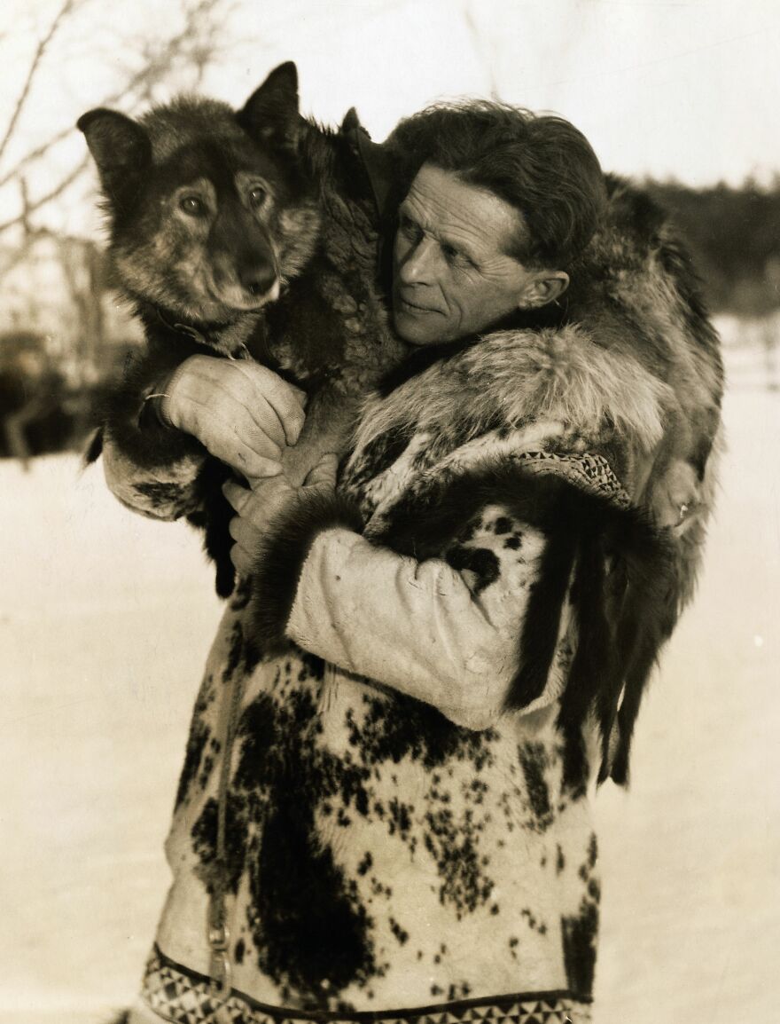 Perritos Históricos Perritos Históricos