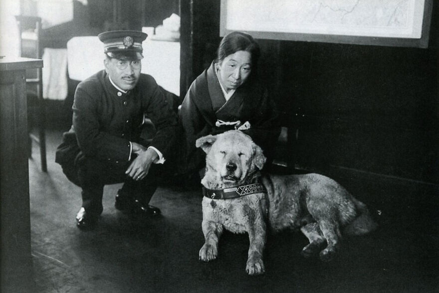 Perritos Históricos Perritos Históricos