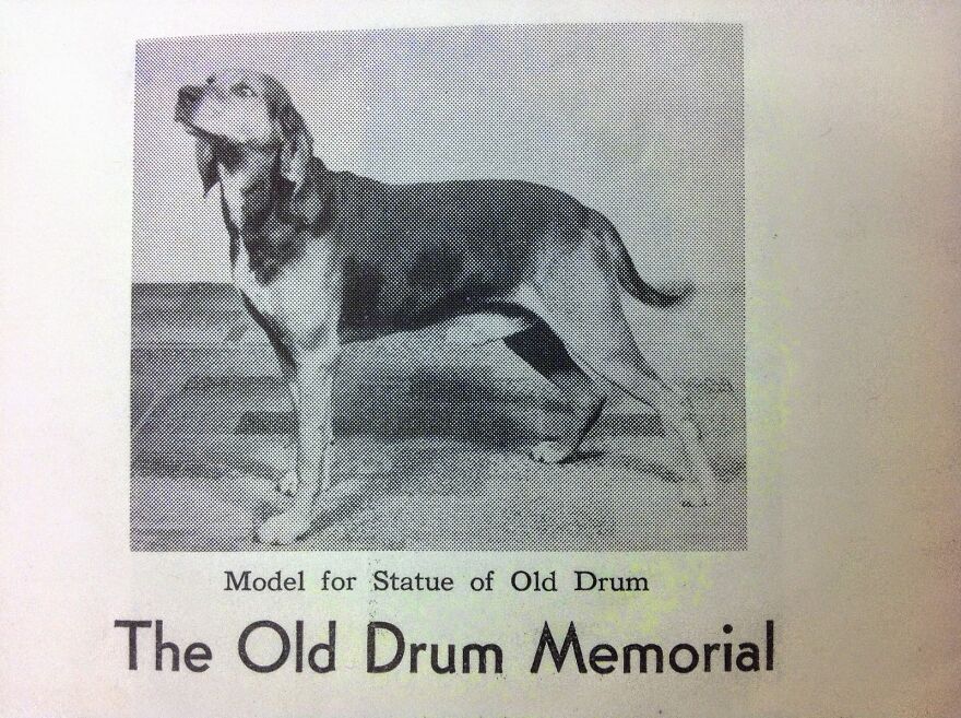 Perritos Históricos Perritos Históricos