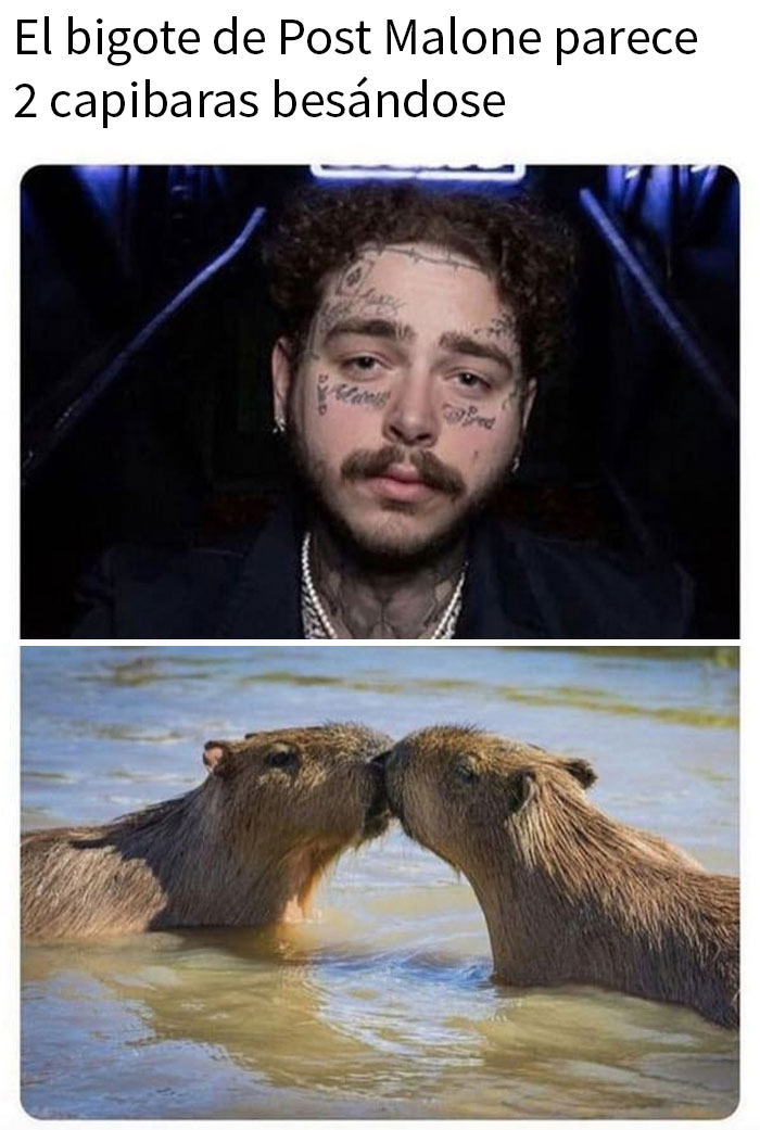 50 Funny Images Of Things That Look Like Other Things, As Shared On This Page