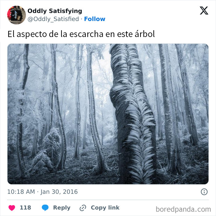 "Oddly Satisfying": 40 Times People Were Unexpectedly Pleasantly Surprised By What They Saw