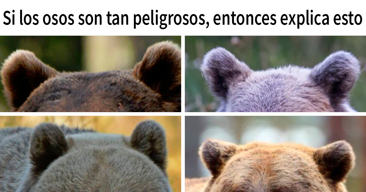 20 De los mejores memes de la cuenta «Beige Cardigan»