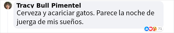 Este hombre abrió un pub y empezó a acoger gatos callejeros: así nació el primer pub de gatos de Bristol Este hombre abrió un pub y empezó a acoger gatos callejeros: así nació el primer pub de gatos de Bristol