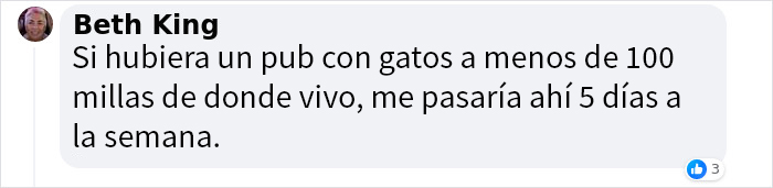Este hombre abrió un pub y empezó a acoger gatos callejeros: así nació el primer pub de gatos de Bristol Este hombre abrió un pub y empezó a acoger gatos callejeros: así nació el primer pub de gatos de Bristol