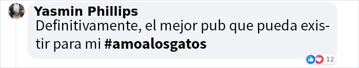 Este hombre abrió un pub y empezó a acoger gatos callejeros: así nació el primer pub de gatos de Bristol Este hombre abrió un pub y empezó a acoger gatos callejeros: así nació el primer pub de gatos de Bristol