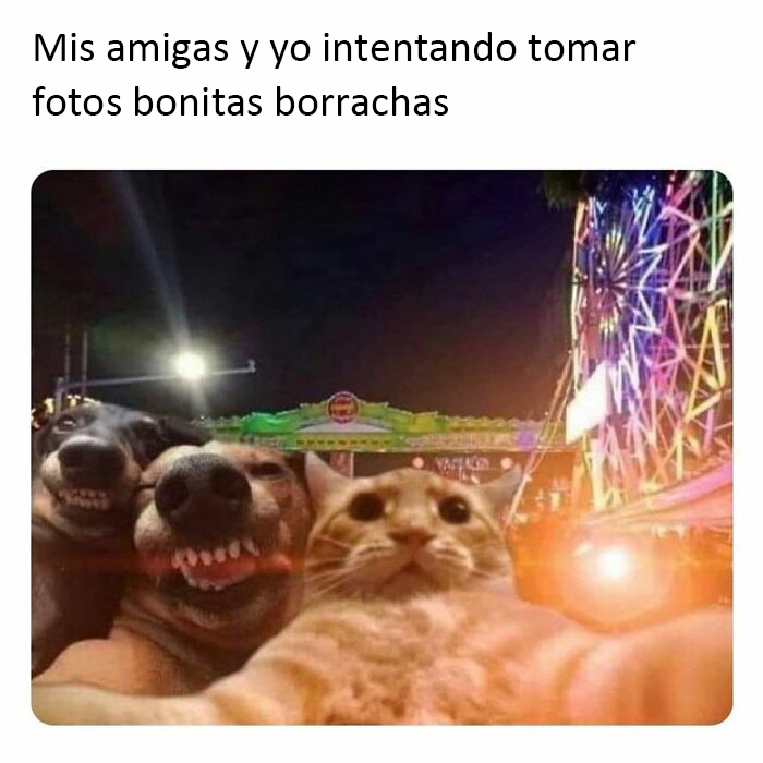 50 Relatable Memes That Range From Lighthearted To Ones That Hit Below The Belt