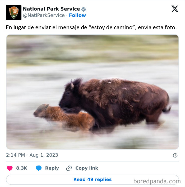 National Park Service Hired The Perfect Social Media Person As Their Tweets Are Hilarious (50 New Pics)