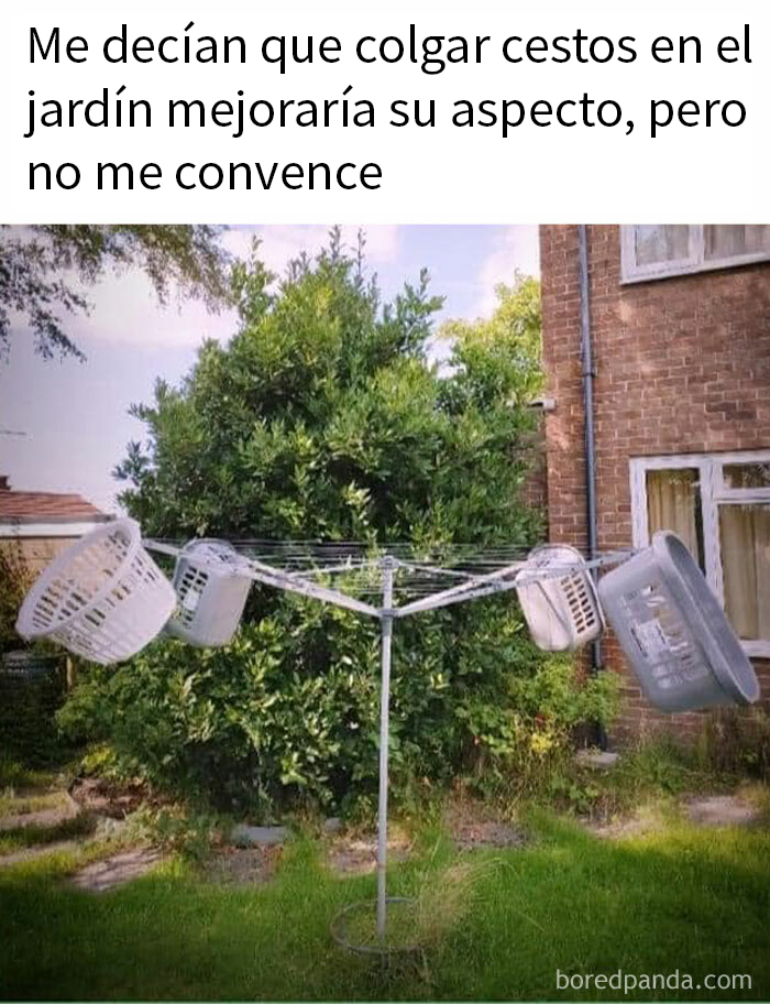 50 ‘Things In Places They Shouldn't Be’ To Make Your Day Better (New Pics)