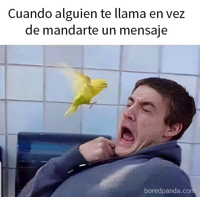 50 Hilarious, Confusing And Unsettling Pics From “I Would Prefer Not To” (New Pics)