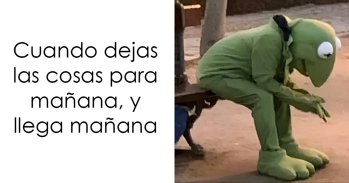 «Preferiría que no»: 21 imágenes divertidas, confusas e inquietantes