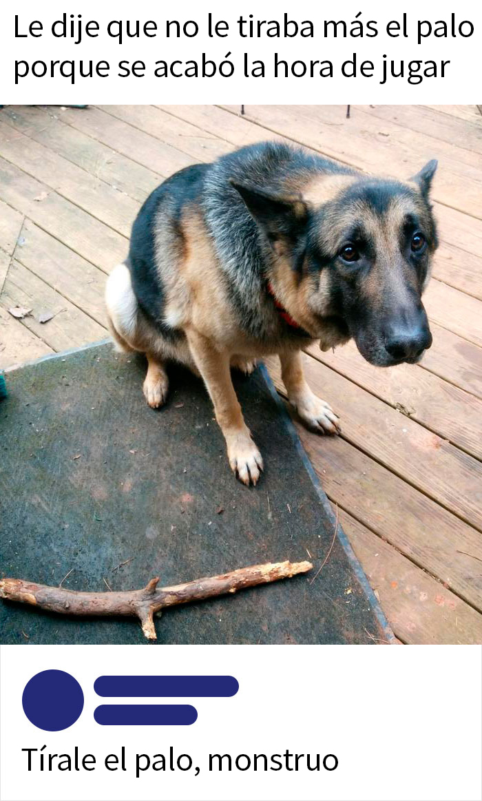 Were We All The Monsters All Along? Short Answer: Yes