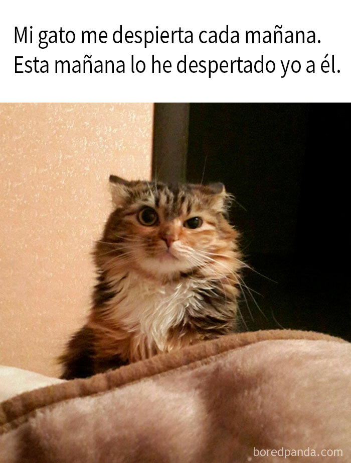 Don’t Let Others Tell You What To Do