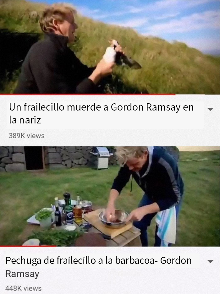 No te metas con Gordon