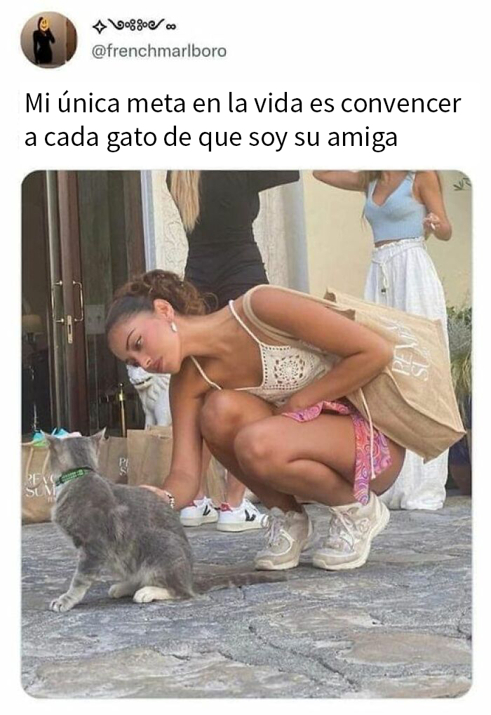 50 Fantastic ‘Cat Memes’ To Help You Get Through Hard Times