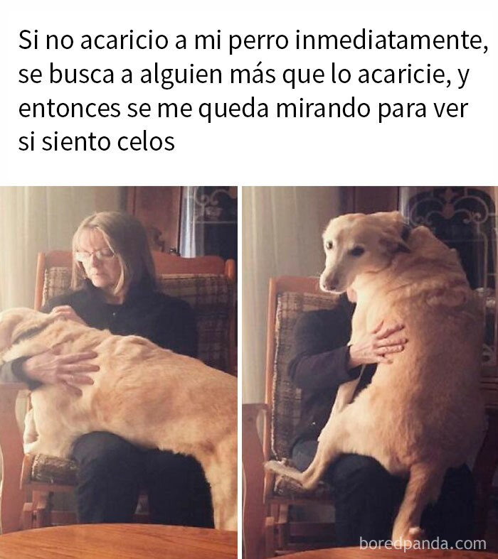 50 Hilarious Memes To Help You Better Express How You’re Feeling Today