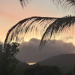 fernandocastrofc avatar