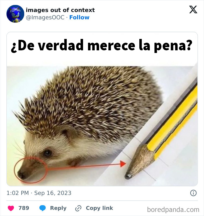 40 Of The Funniest Posts From “Images Out Of Context” Page