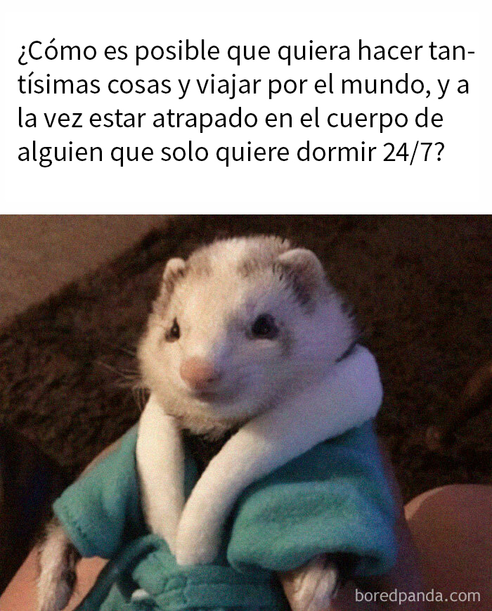 This IG Page Is Dedicated To Random And Funny Memes, Here Are The 50 Best Ones