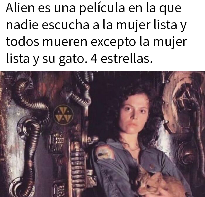 ⭐️⭐️⭐️⭐️