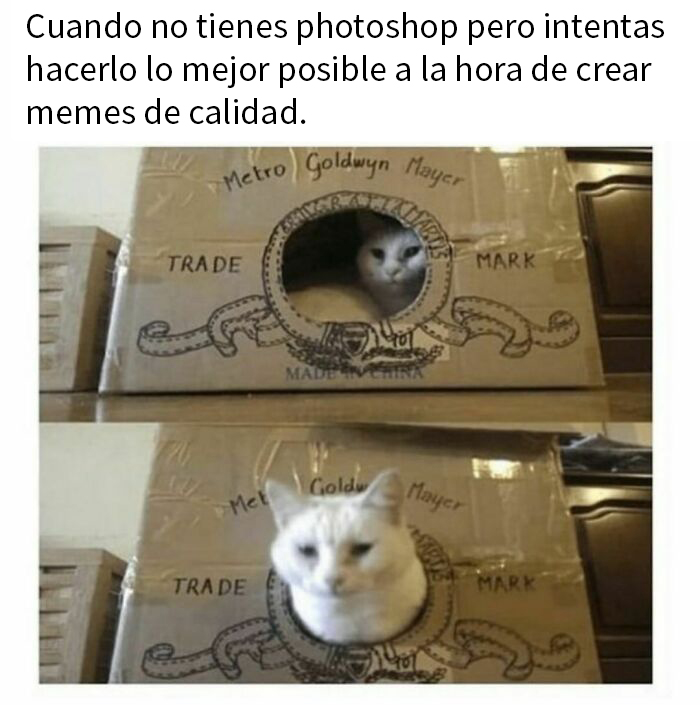 Where There’s A Will, There’s A Way