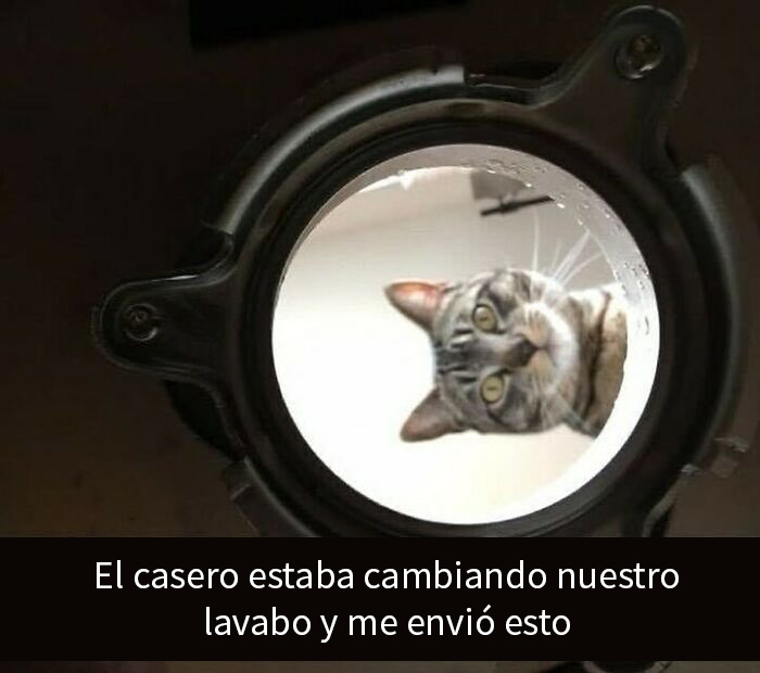 Tu serás el casero, pero yo soy el jefe