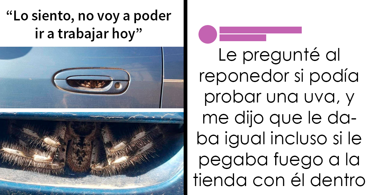 20 Divertidos memes sobre trabajo para ayudarte a sobrellevar la jornada laboral