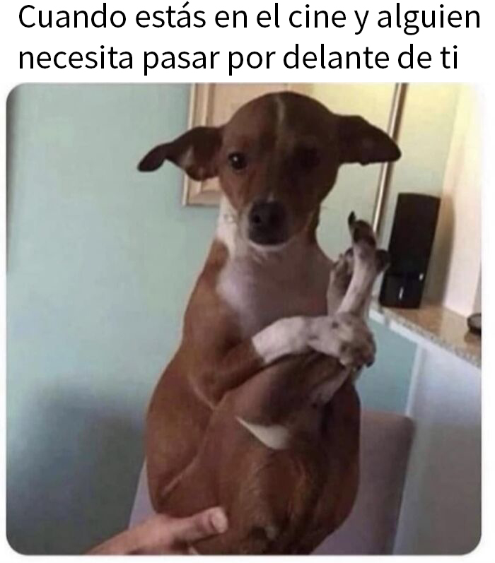 These 50 Memes Are Just What You Need to Take a Break and Have a Giggle (New Pics)