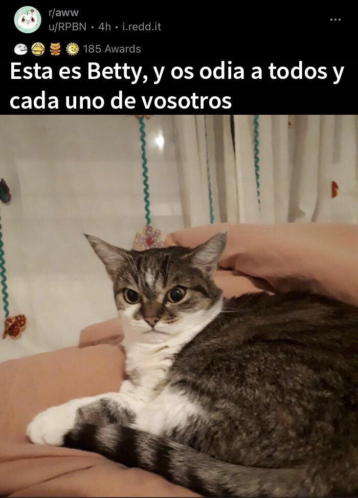 50 Randomly Wholesome Posts That May Be Just What You Needed For A Happiness Boost