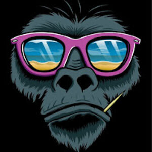 joseandresgaleotevalencia avatar