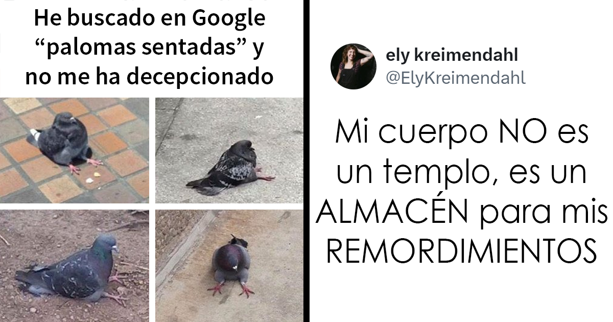 20 Memes divertidos y ocurrentes creados por «Tank Sinatra»