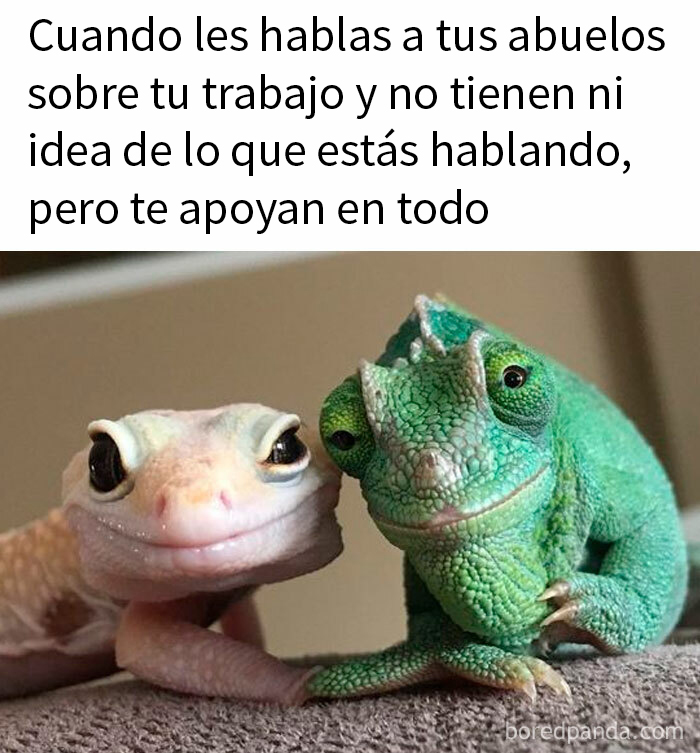 50 Hilariously Random Memes That Keep Entertaining 9.6M Followers Of This IG Page