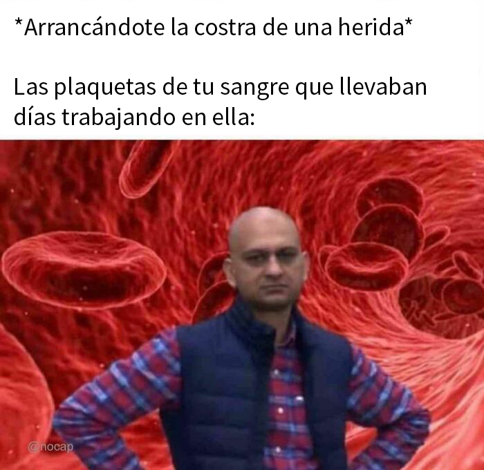 “Meme God”: 50 Hilarious Memes From This IG Page That Might Awaken Your Last Brain Cell