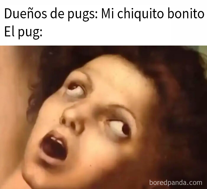 “Meme God”: 50 Hilarious Memes From This IG Page That Might Awaken Your Last Brain Cell