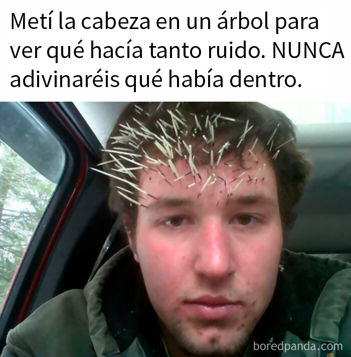 “Meme God”: 50 Hilarious Memes From This IG Page That Might Awaken Your Last Brain Cell