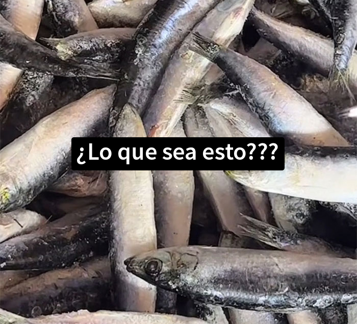 Esta mujer estadounidense se vuelve viral tras compartir los choques culturales que ha vivido al mudarse a Espa&ntilde;a