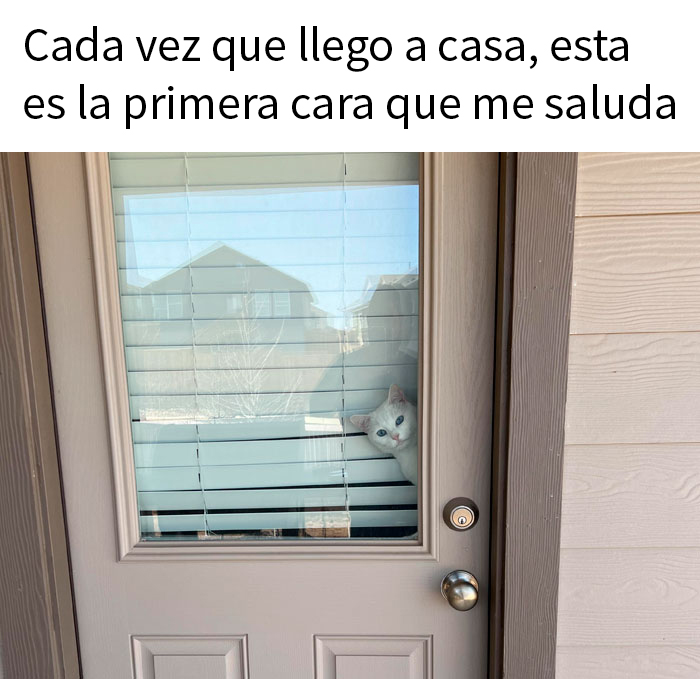 50 Posts To Bring Some Happiness And Joy Into Your Life