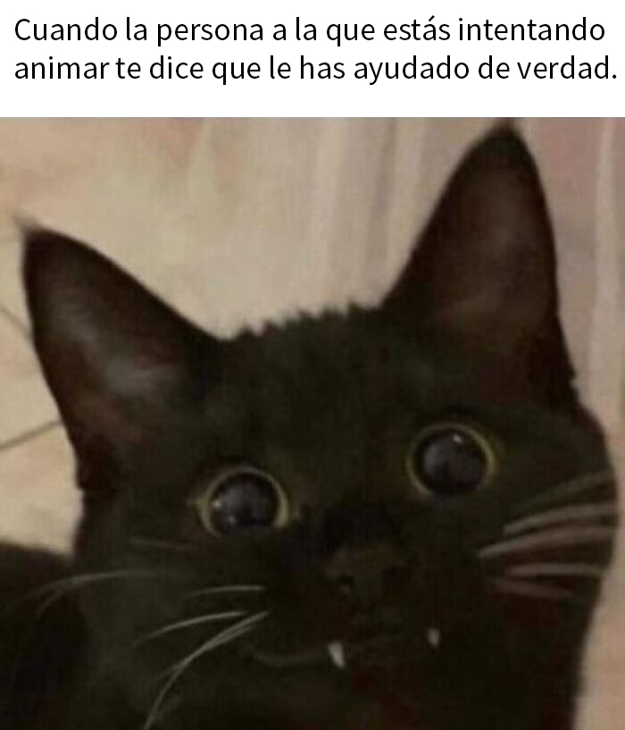 50 Posts To Bring Some Happiness And Joy Into Your Life