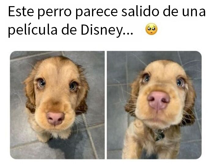 50 Posts To Bring Some Happiness And Joy Into Your Life