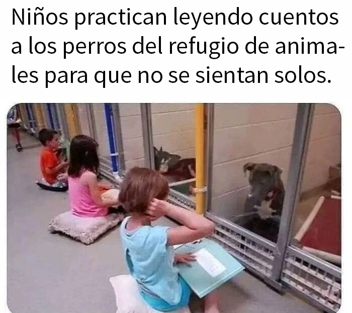 50 Posts To Bring Some Happiness And Joy Into Your Life