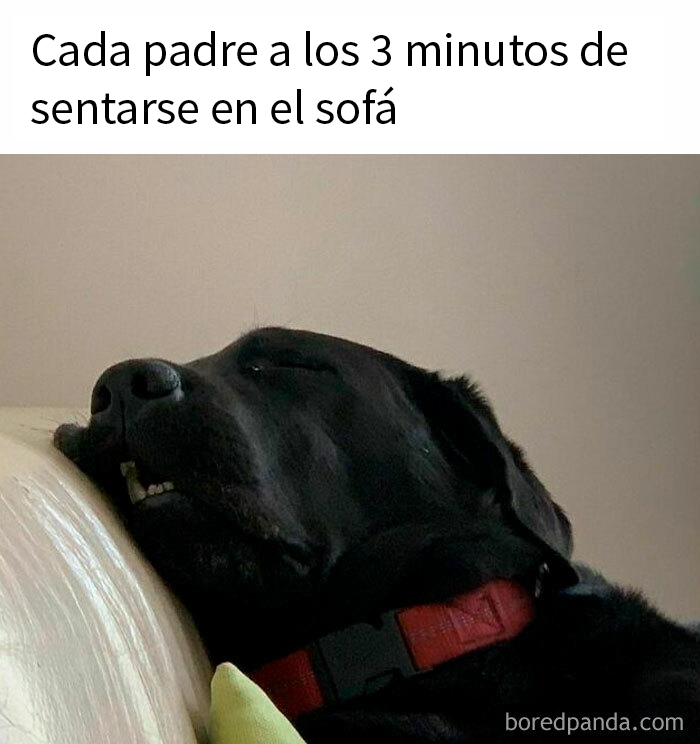 “The Michael Jordan Of Memes”: 50 Hilariously Random Memes From This IG Page