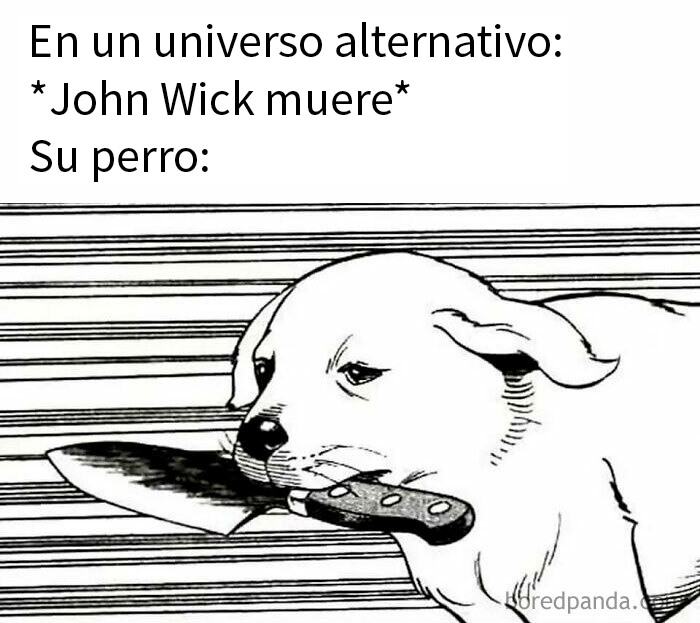 “The Michael Jordan Of Memes”: 50 Hilariously Random Memes From This IG Page